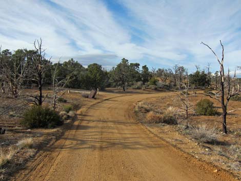 Mid Hills Campground