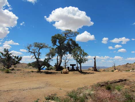 Mid Hills Campground