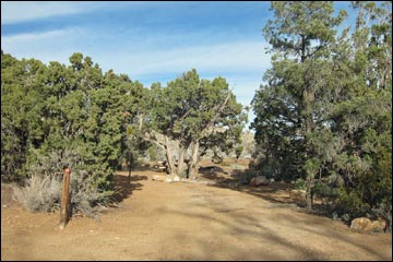 Mid Hills Campground