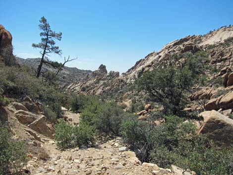 Caruthers Canyon