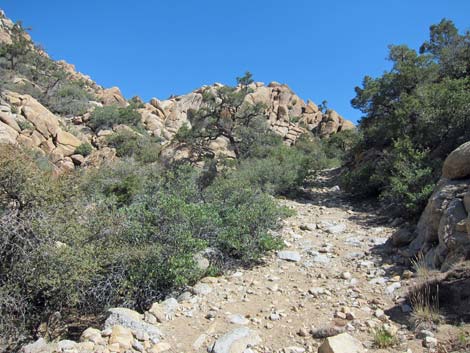 Caruthers Canyon