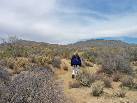 71,000-acre Hackbury Fire