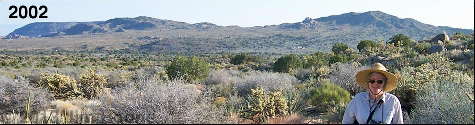 Hole-in-the-Wall to Mid Hills Trail