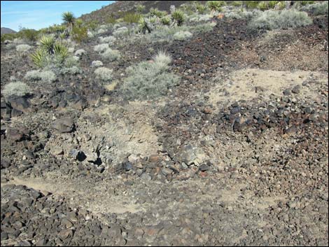 Lava Tube