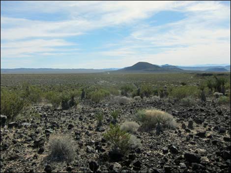 Lava Tube