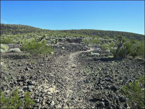 Lava Tube