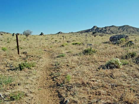 Mid Hills to Hole-in-the-Wall Trail