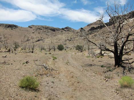 Mid Hills to Hole-in-the-Wall Trail