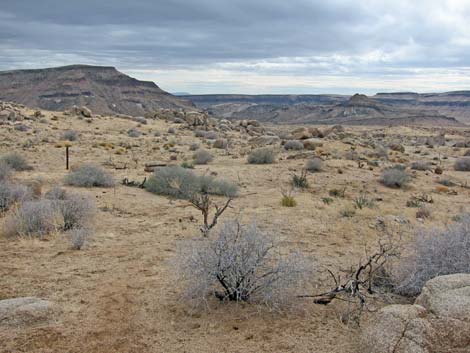 Mid Hills to Hole-in-the-Wall Trail