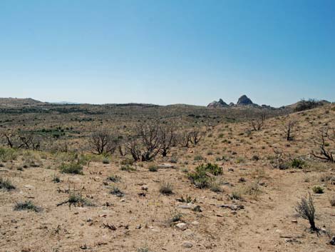 Mid Hills Loop Trail