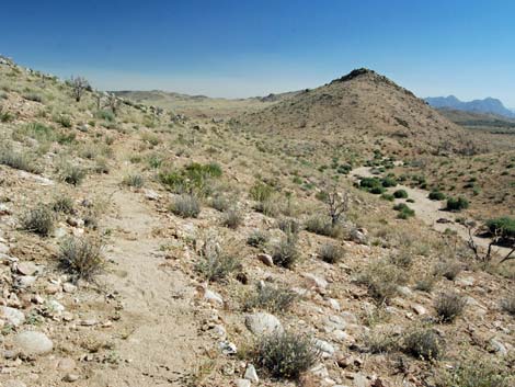 Mid Hills Loop Trail