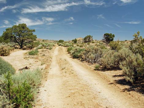 Mid Hills Loop Trail