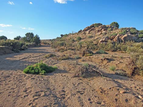 Mid Hills Loop Trail