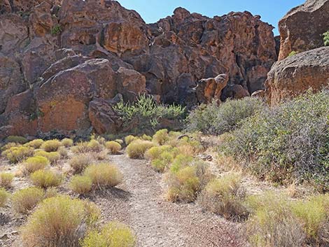 Banshee Canyon Overlook