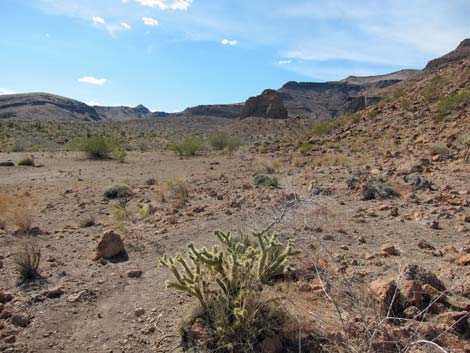 Rings Loop Trail