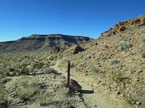 Rings Loop Trail