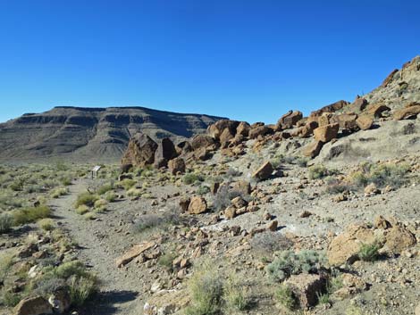 Rings Loop Trail