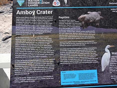 Amboy Crater Road