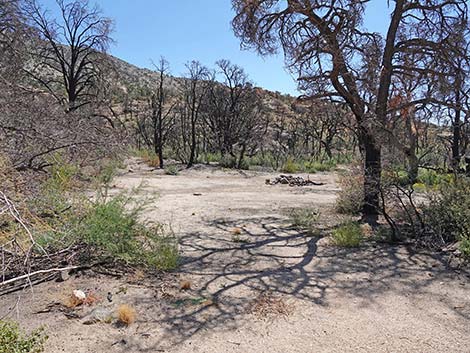 Caruthers Canyon Road