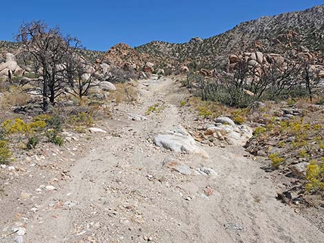 Caruthers Canyon Road