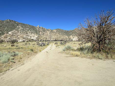 Caruthers Canyon Road