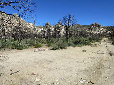 Caruthers Canyon Road