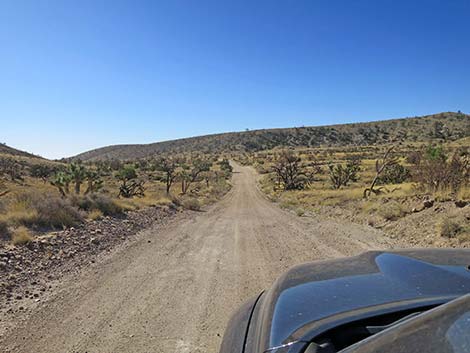 Ivanpah Road