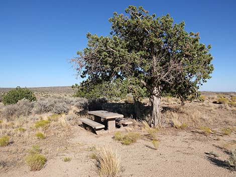 Rock Spring Loop Trail