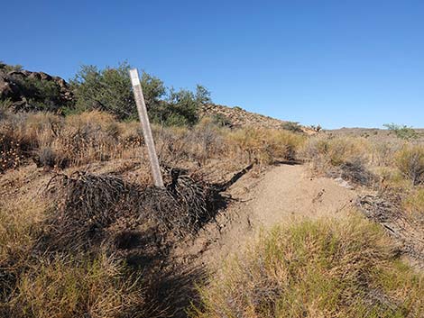 Rock Spring Loop Trail