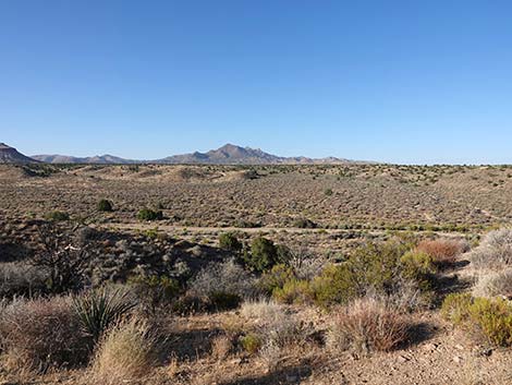 Rock Spring Loop Trail