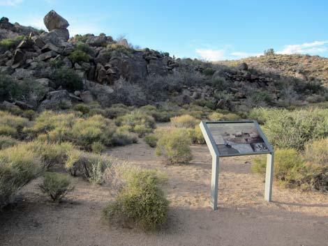 Rock Spring Loop Trail