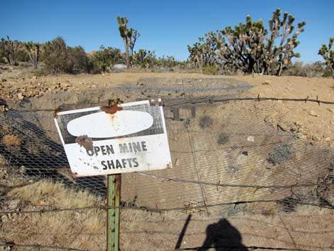 Teutonia Peak Trail