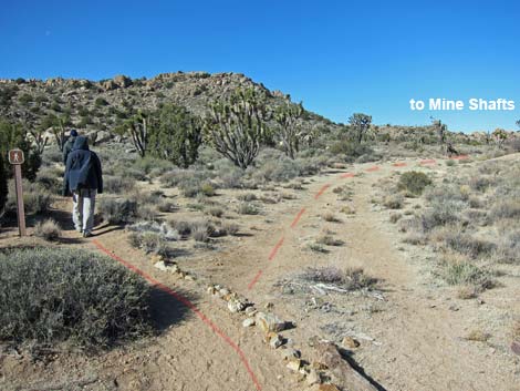 Teutonia Peak Trail