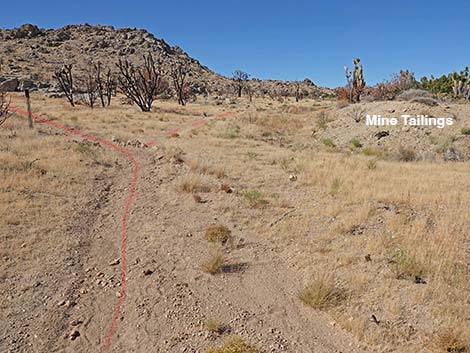 Teutonia Peak Trail