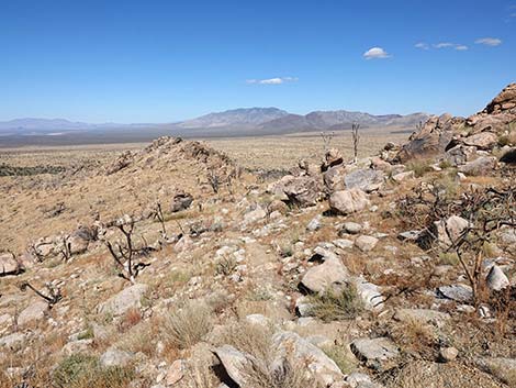 Teutonia Peak