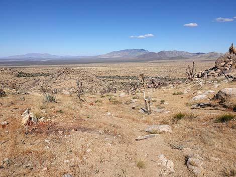 Teutonia Peak