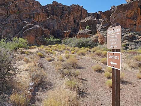 Rings Trailhead