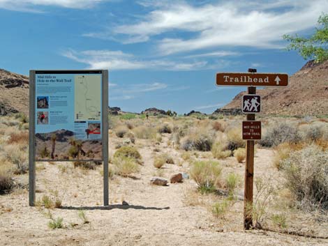 Wild Horse Spur Trail