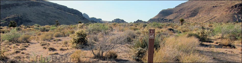 Wild Horse Spur Trail