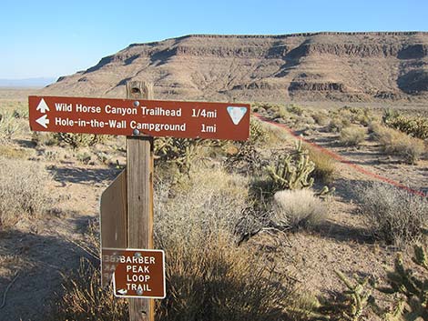 Wild Horse Spur Trail