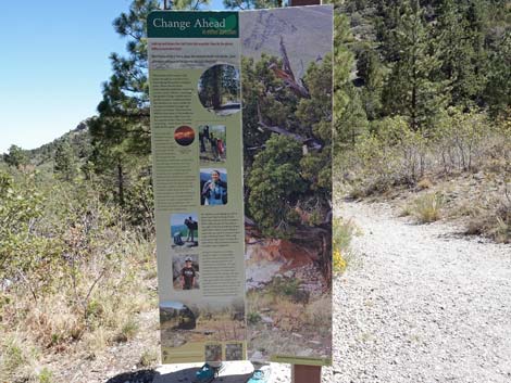 Acastus Trail