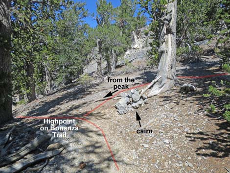 Bonanza Peak Trail