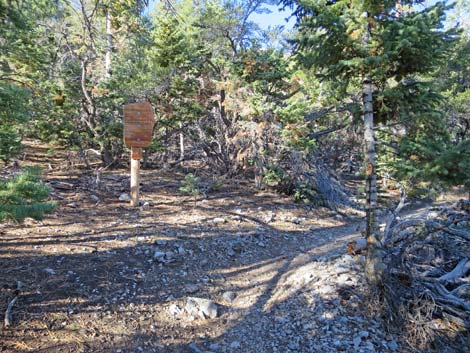 Bonanza Peak Trail