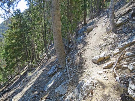 Bonanza Peak Trail