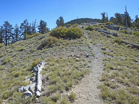 Bonanza Peak Trail