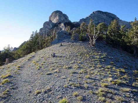 Bonanza Trail