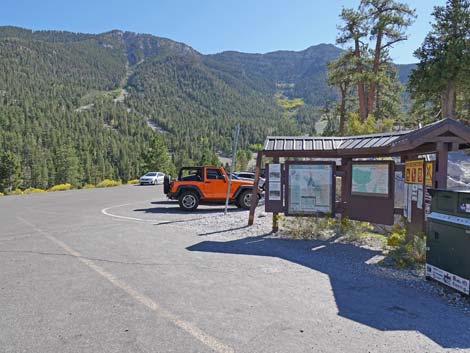 Bristlecone Trail