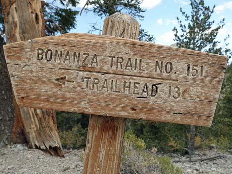 Bristlecone Trail