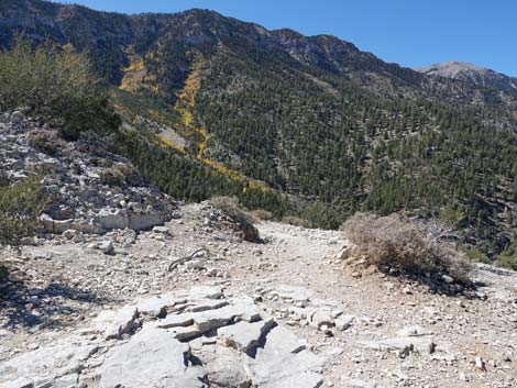 Cathedral Rock Trail