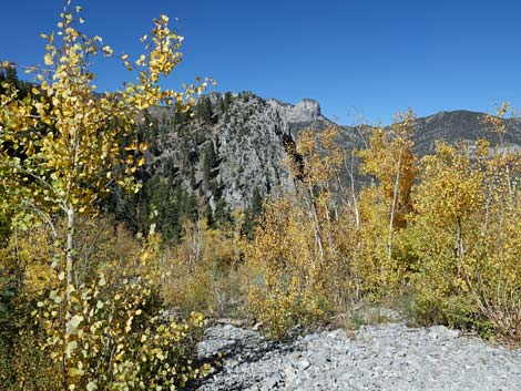 Cathedral Rock Trail